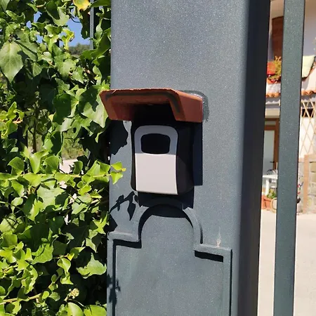 Ruggiero 